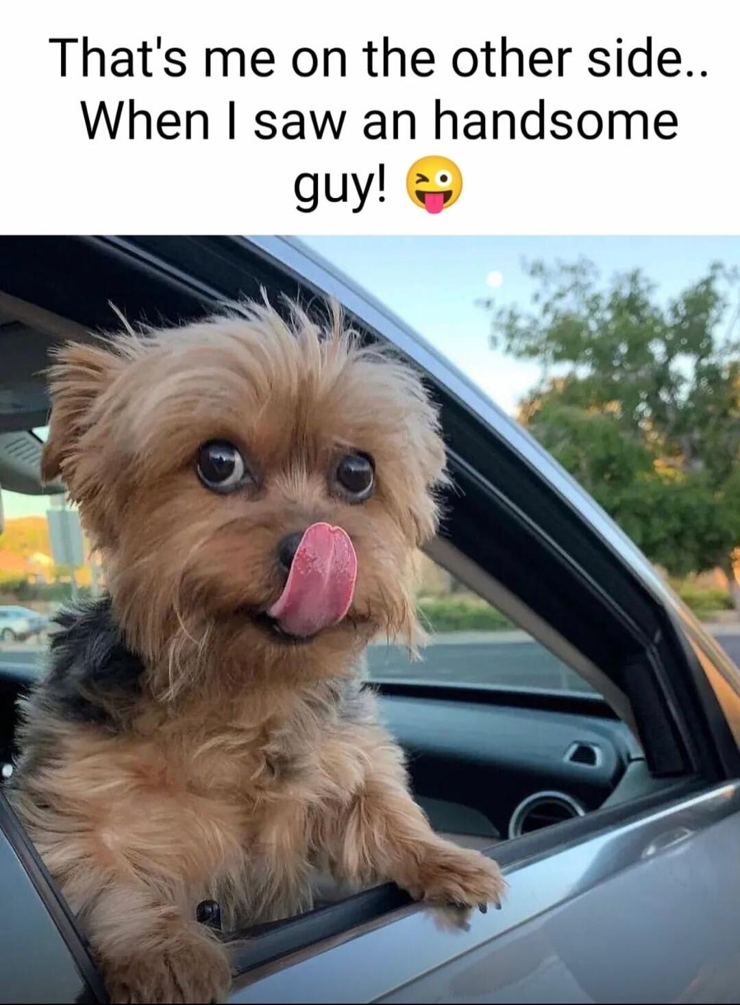 That's me on the other side.. When I saw an handsome guy! 😉🤪