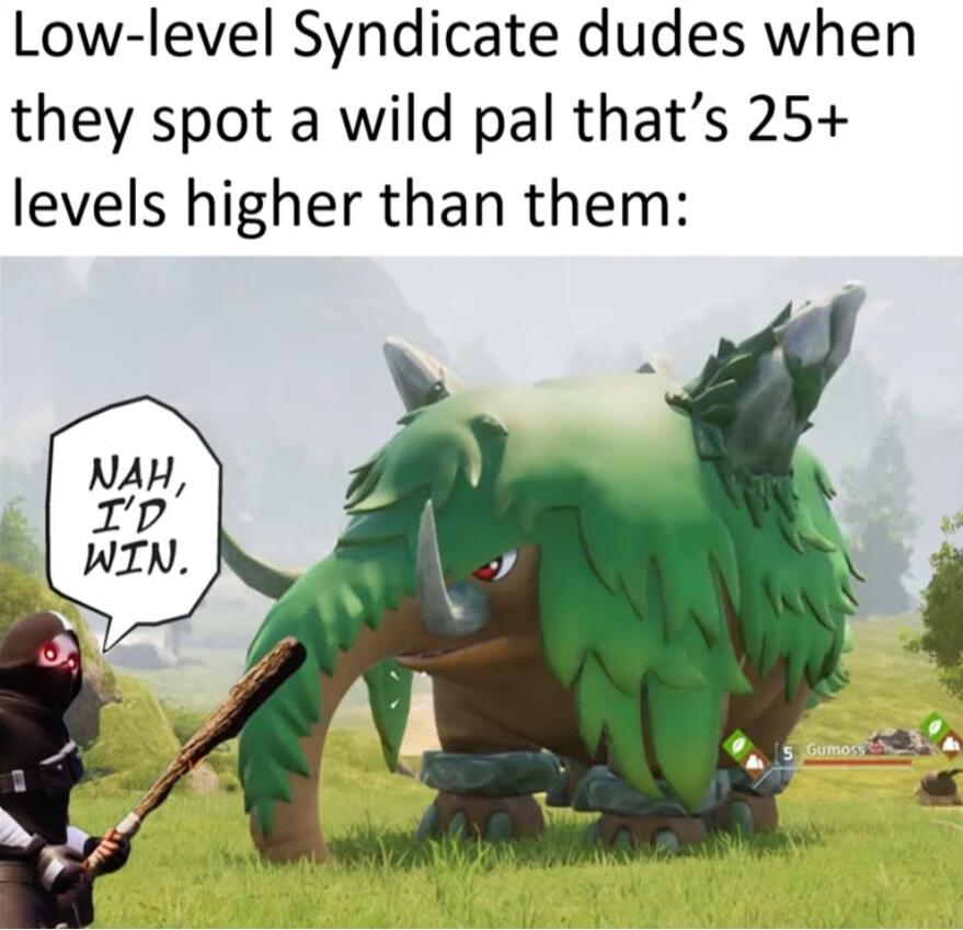 Low level Syndicate dudes when they spot a wild pal thats 25 levels higher than them