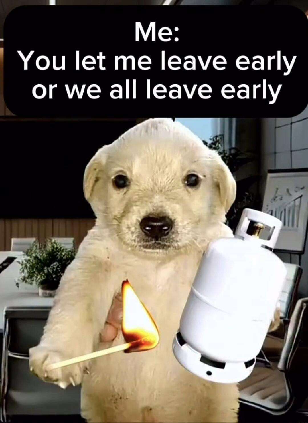 Me: You let me leave early or we all leave early