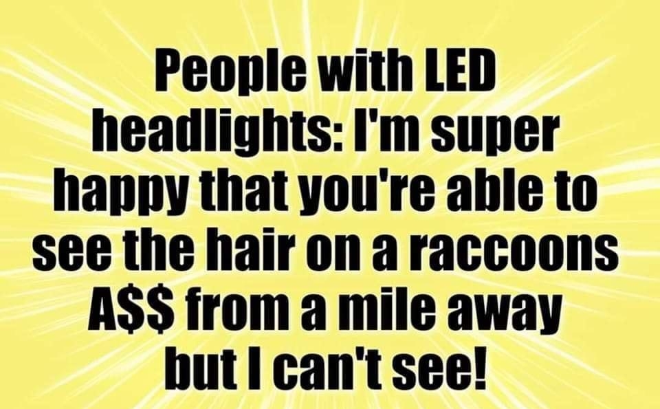 People with LED headlights Im super happy that youre ahle to see the hair on araccoons ASS from a mile away hut I cant see