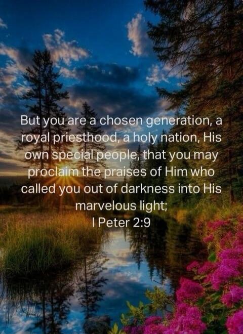 But you are a chosen generation, a royal priesthood, a holy nation, His own special people, that you may proclaim the praises of Him who called you out of darkness into His marvelous light; 1 Peter 2:9