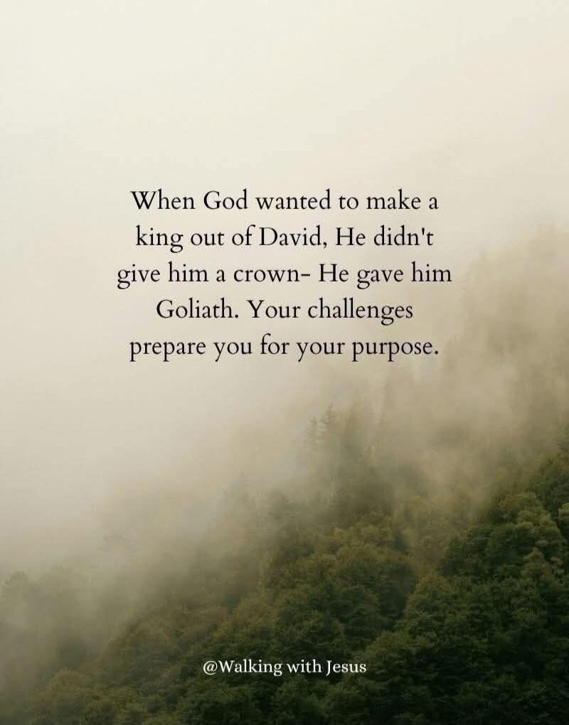 When God wanted to make a king out of David, He didn't give him a crown- He gave him Goliath. Your challenges prepare you for your purpose.

@Walking with Jesus