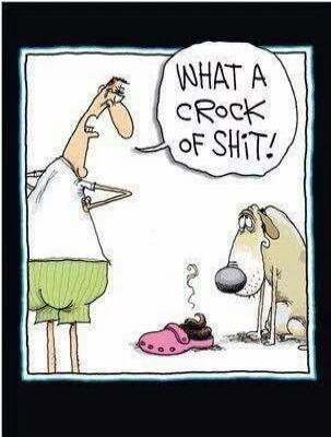 WHAT A CROCK OF SHIT!