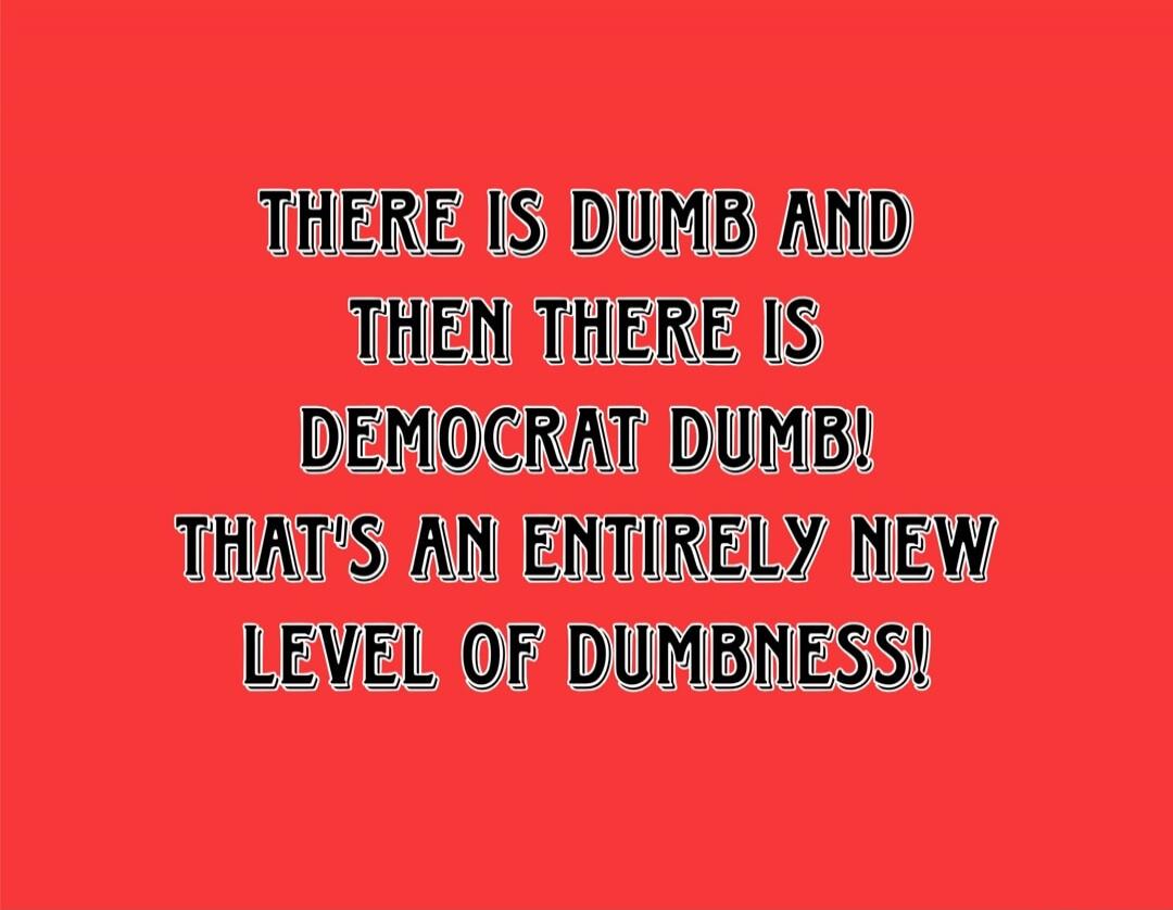 THERE IS DUMB AND THEN THERE IS DEMOCRAT DUMB! THAT'S AN ENTIRELY NEW LEVEL OF DUMBNESS!