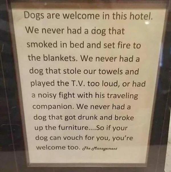 Dogs are welcome in this hotel We never had a dog that smoked in bed and set fire to the blankets We never had a dog that stole our towels and played the TV too loud or had a noisy fight with his traveling companion We never had a dog that got drunk and broke up the furnitureSo if your dog can vouch for you youre WeICOME 10O ke anagument