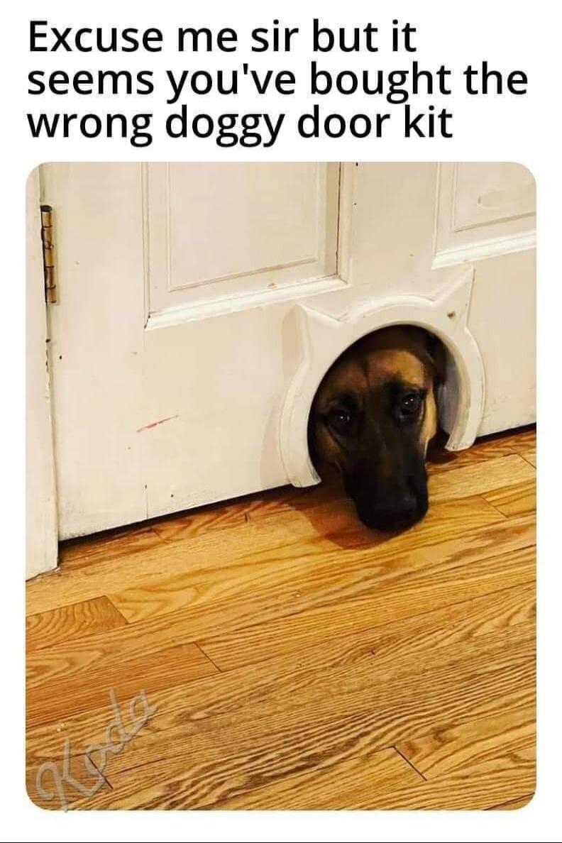Excuse me sir but it seems you've bought the wrong doggy door kit