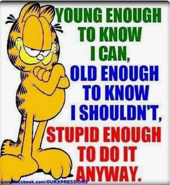YOUNG ENOUGH TO KNOW I CAN, OLD ENOUGH TO KNOW I SHOULDN'T, STUPID ENOUGH TO DO IT ANYWAY.