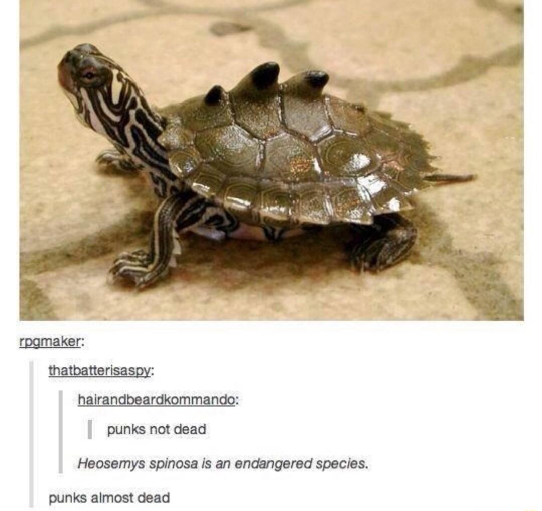 rpgmaker thatbatierisasoy hairandbeardkommando punks not dead Heosemys spinosa is an endangered species punks aimost dead