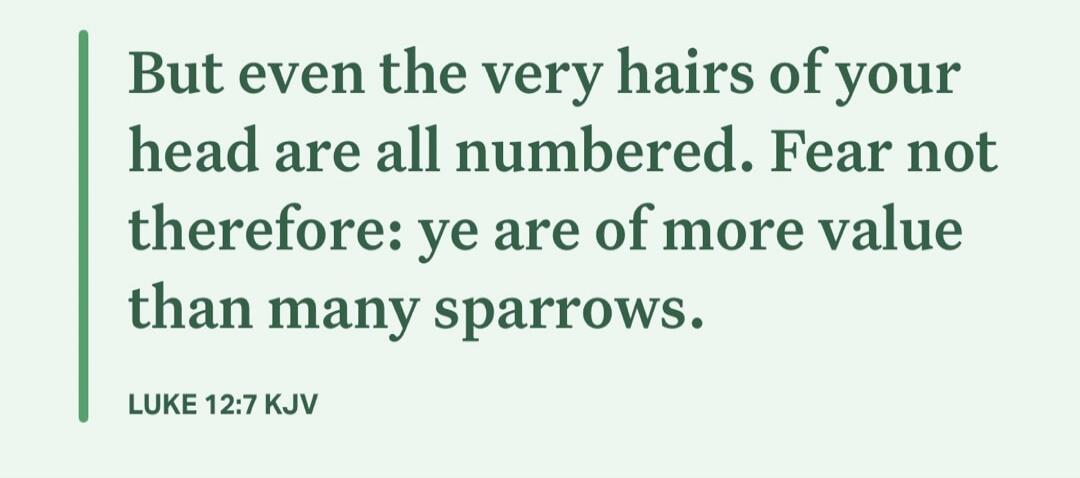 But even the very hairs of your head are all numbered. Fear not therefore: ye are of more value than many sparrows. LUKE 12:7 KJV