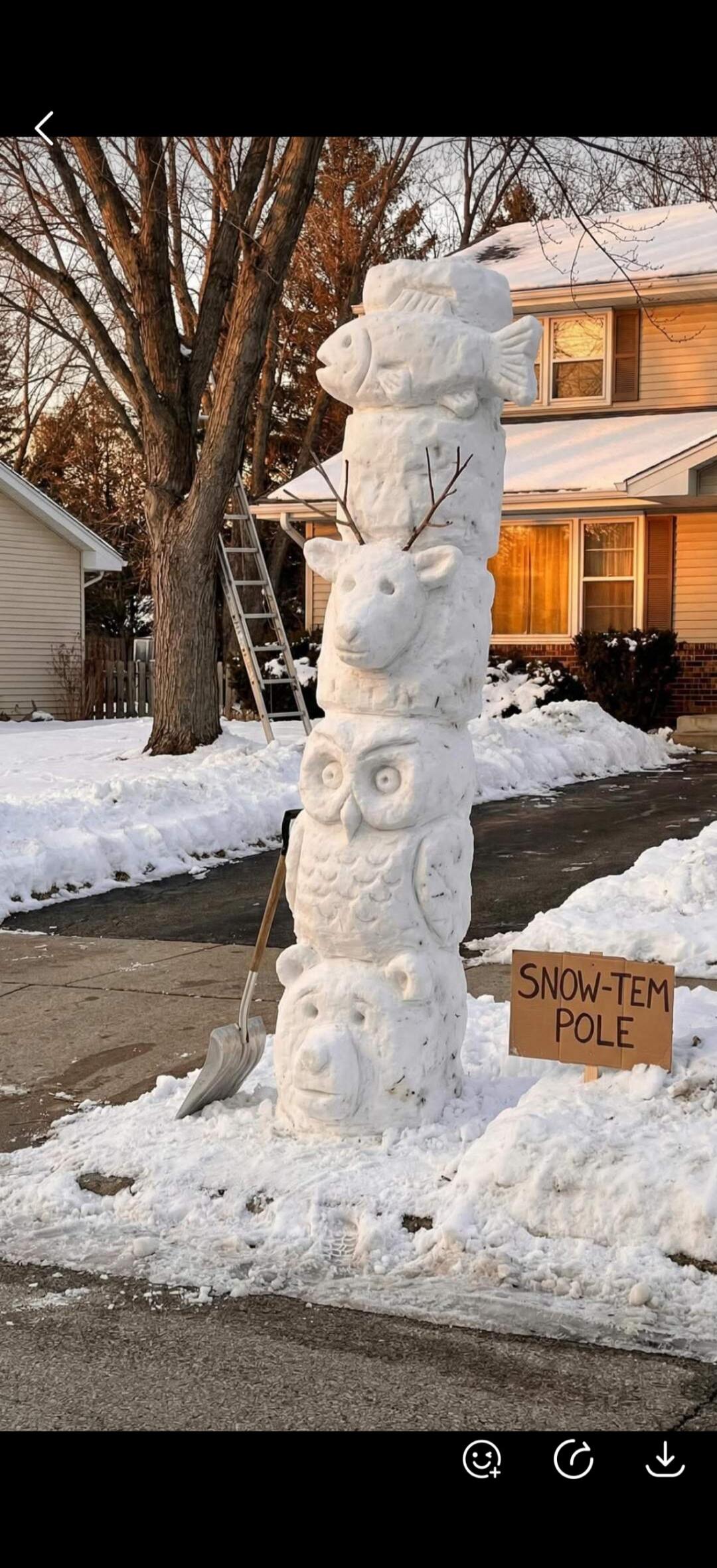 SNOW-TEM POLE