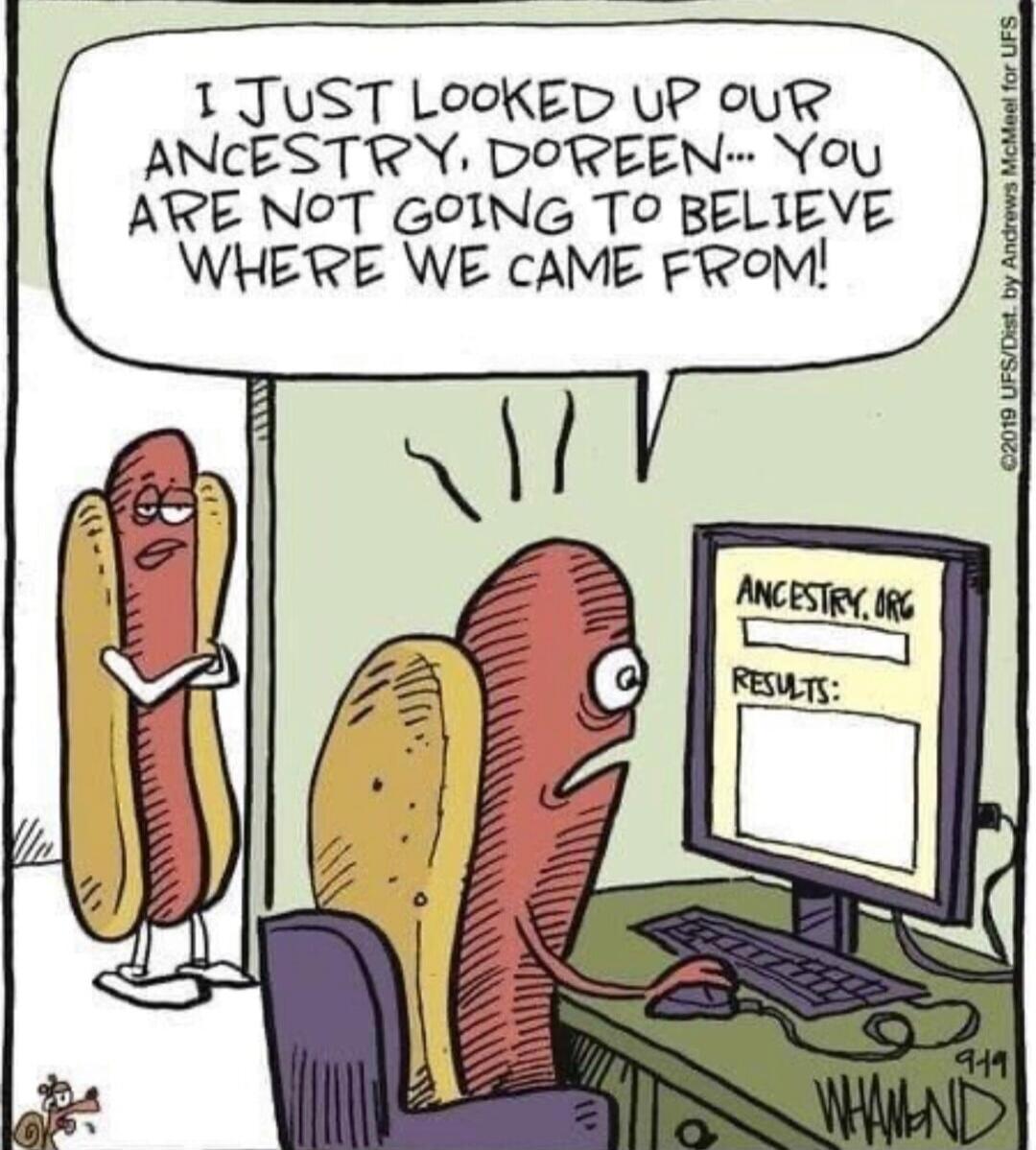 I JUST LOOKED UP OUR ANCESTRY, DOREEN... YOU ARE NOT GOING TO BELIEVE WHERE WE CAME FROM! ANCESTRY.ORG RESULTS: