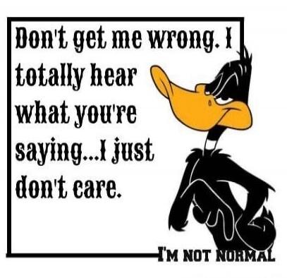 Don't get me wrong. I totally hear what you're saying... I just don't care. I'M NOT NORMAL