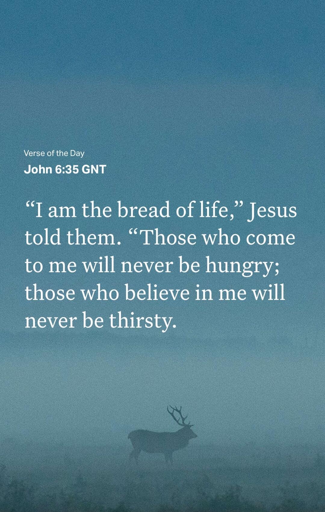 Verse of the Day
John 6:35 GNT
“I am the bread of life,” Jesus told them. “Those who come to me will never be hungry; those who believe in me will never be thirsty.”