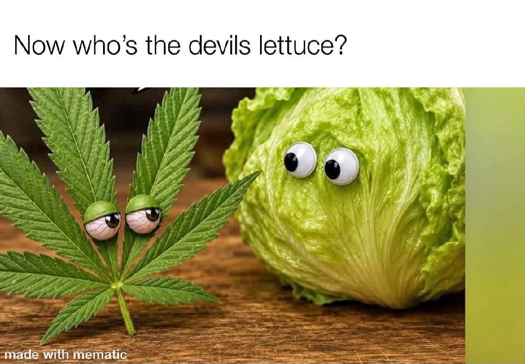 Now who's the devils lettuce? made with mematic