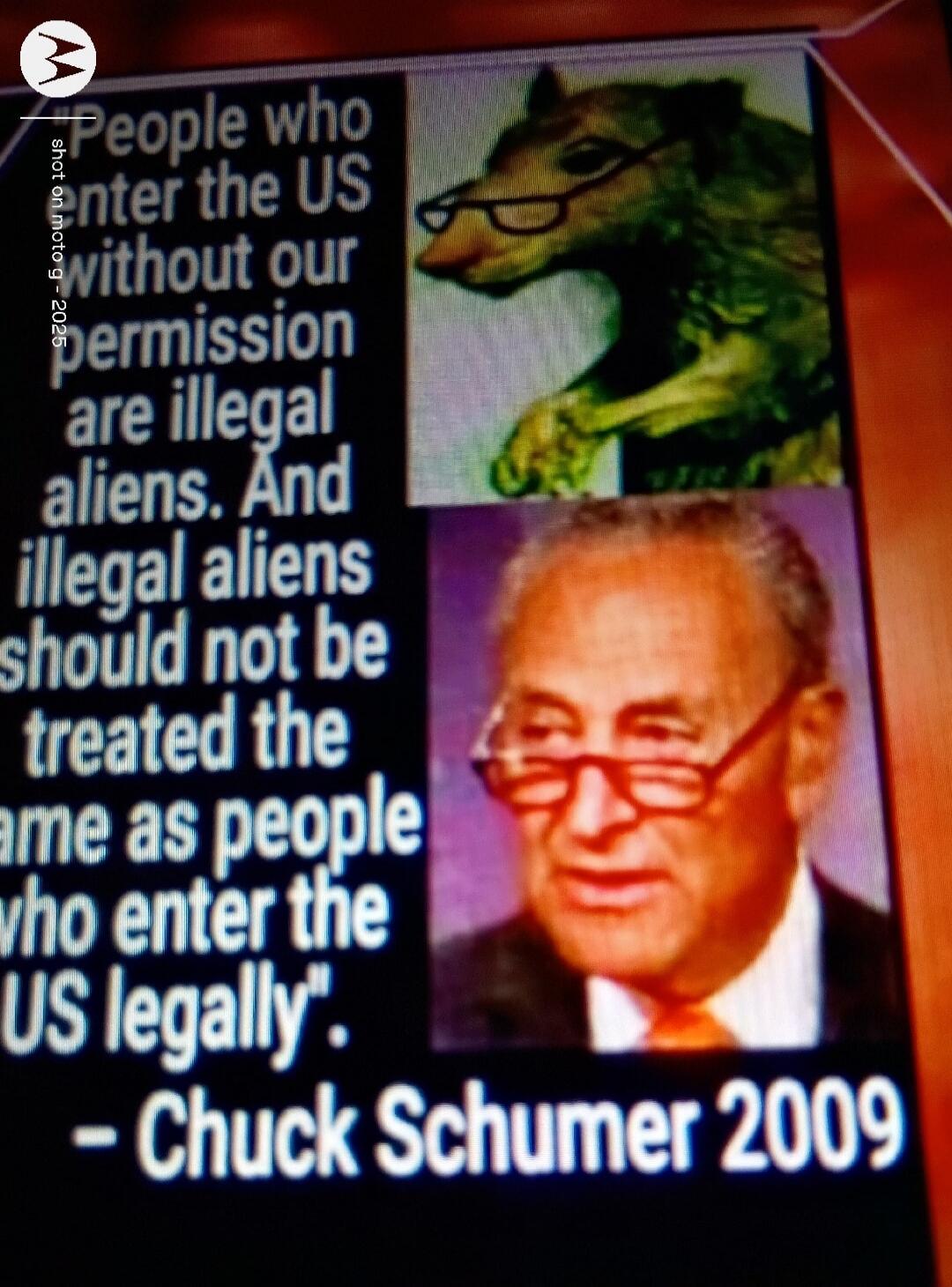 People who enter the US without our permission are illegal aliens. And illegal aliens should not be treated the same as people who enter the US legally. – Chuck Schumer 2009