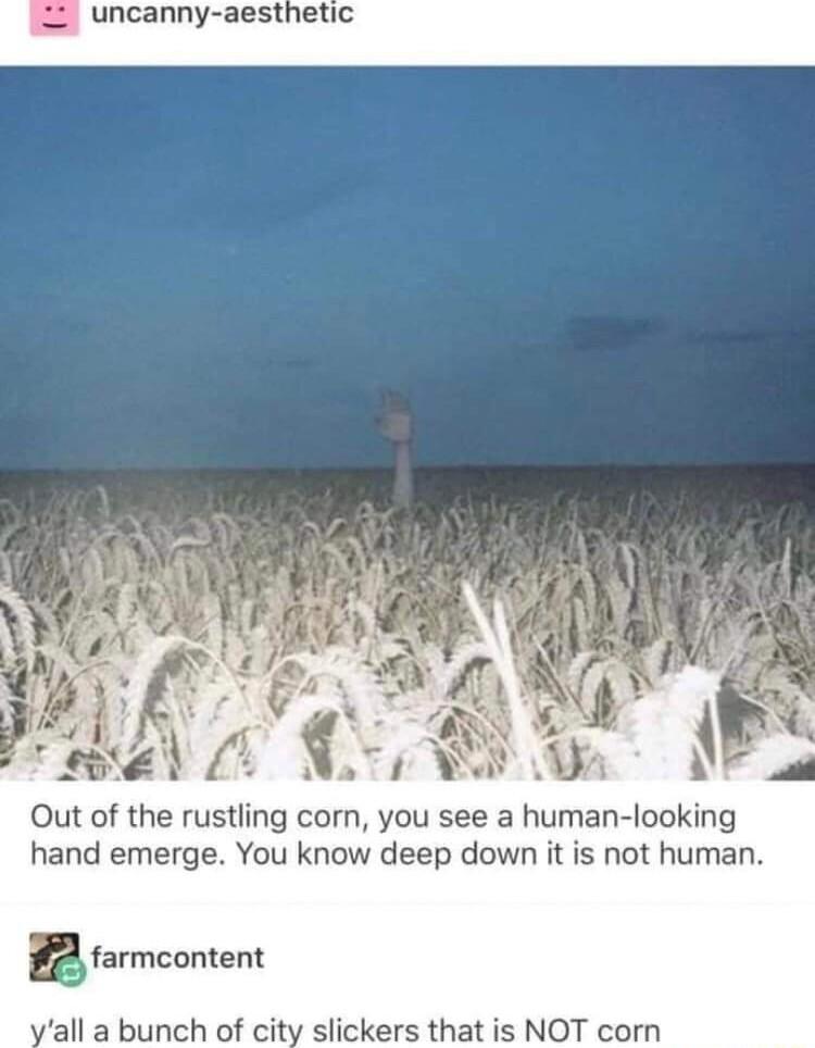 Out of the rustling corn you see a human looking hand emerge You know deep down it is not human Bfarmcnmem all a bunch of city slickers that is NOT corn