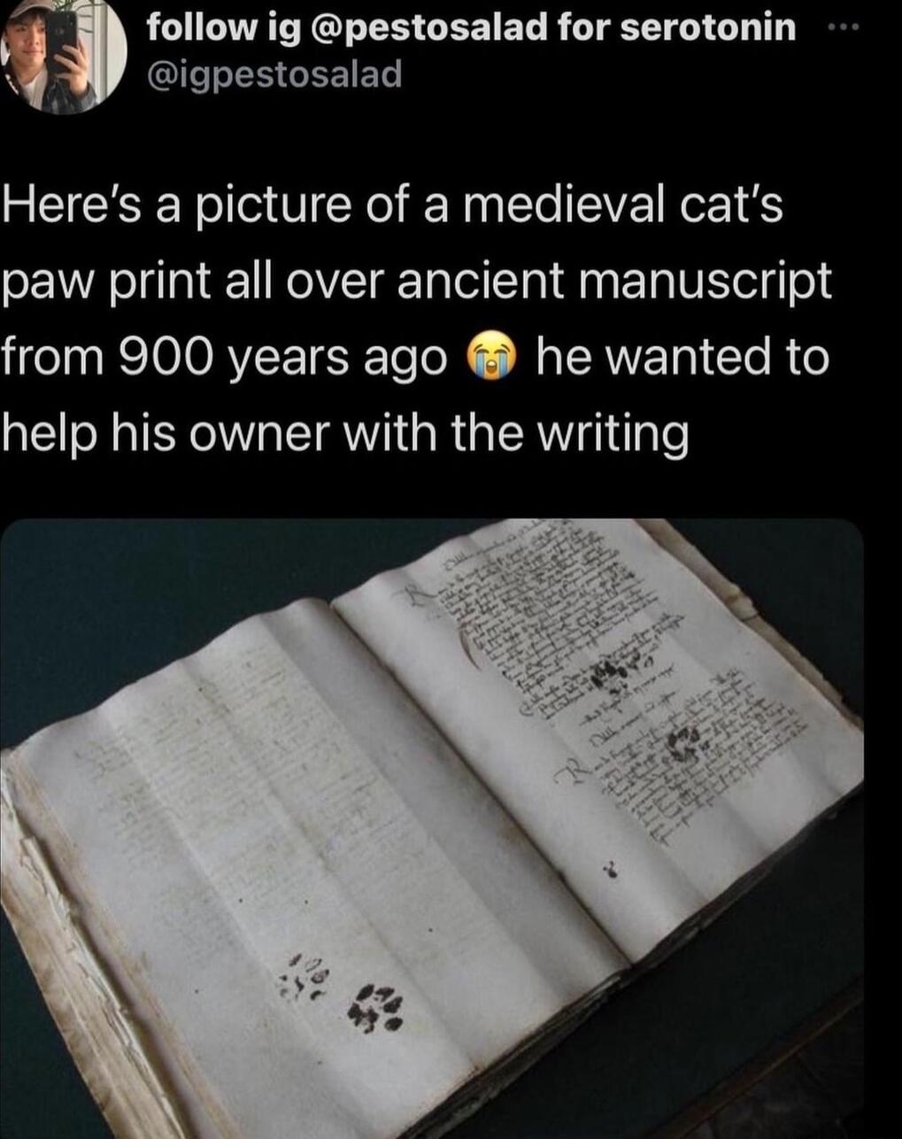follow ig pestosalad for serotonin Gl GEEIET Heres a picture of a medieval cats paw print all over ancient manuscript from 900 years ago he wanted to help his owner with the writing