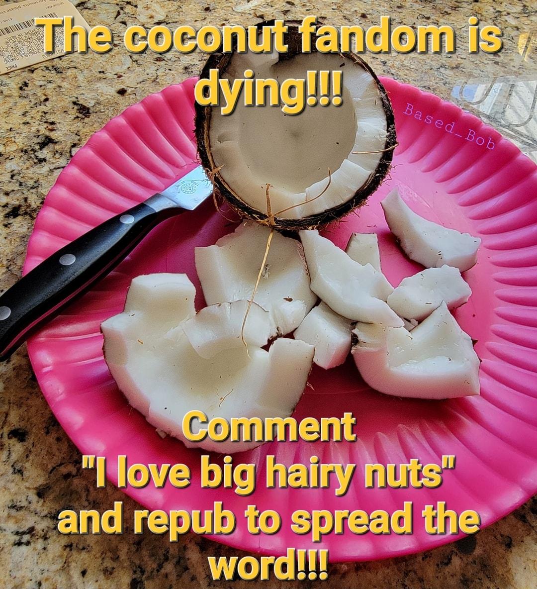 Copylil epubto spread the WOT