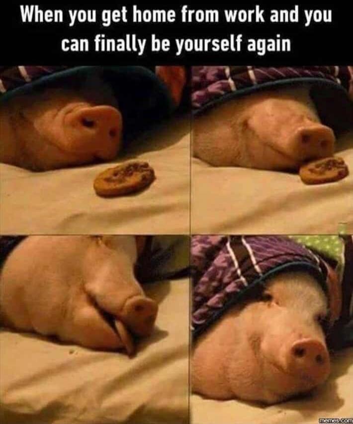 When you get home from work and you can finally be yourself again