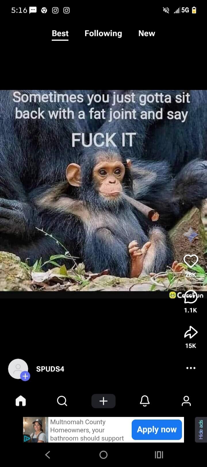 Sometimes you just gotta sit back with a fat joint and say FUCK IT