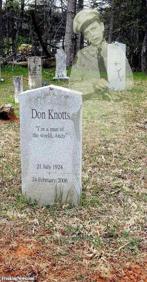 Don Knotts I'm a man of the World, Andy 21 July 1924 24 February 2006