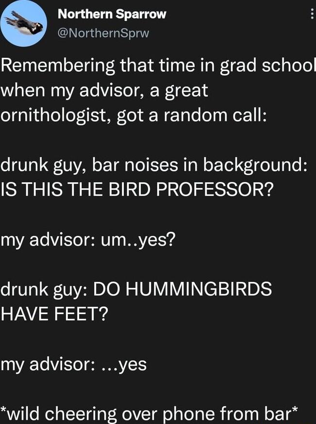 Northern Sparrow NorthernSprw Remembering that time in grad school when my advisor a great ornithologist got a random call drunk guy bar noises in background IS THIS THE BIRD PROFESSOR my advisor umyes drunk guy DO HUMMINGBIRDS VAV S g 10ATo VISToT SRR Y wild cheering over phone from bar
