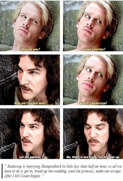 y v Why am dujthis wall