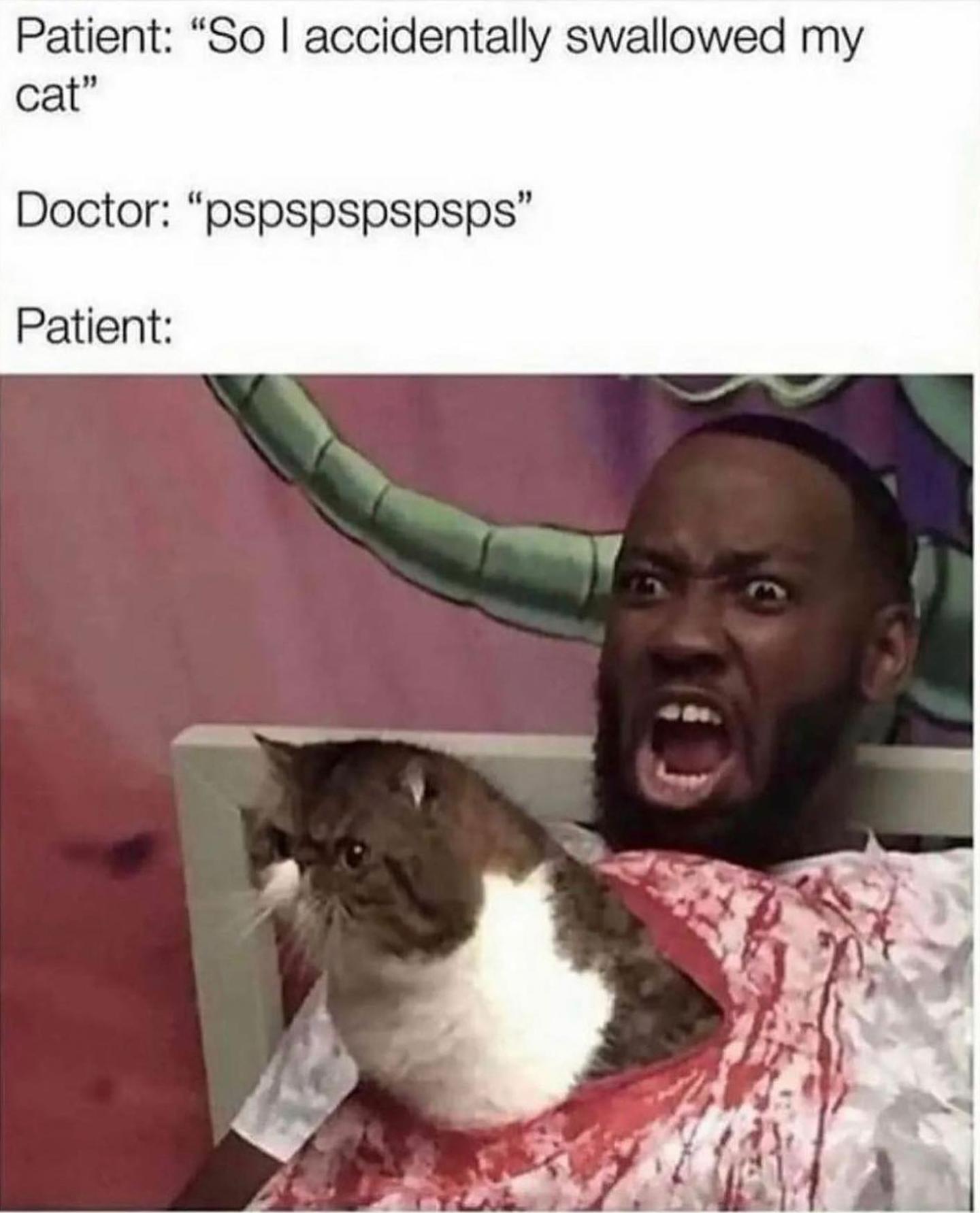 Patient So accidentally swallowed my cat Doctor pspspspspsps Patient