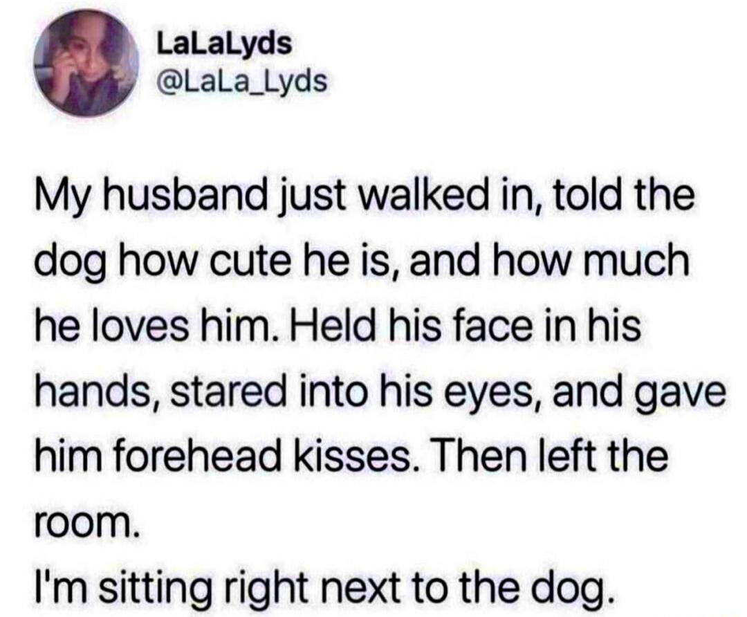 LaLaLyds Lala_Lyds My husband just walked in told the dog how cute he is and how much he loves him Held his face in his hands stared into his eyes and gave him forehead kisses Then left the room Im sitting right next to the dog