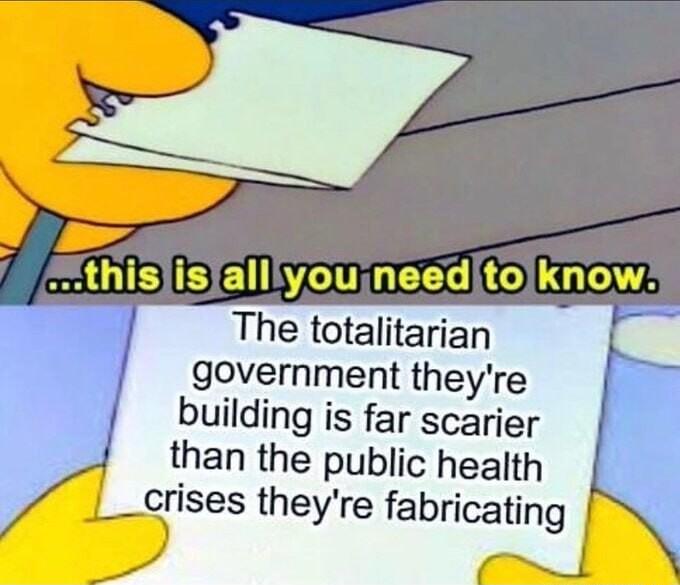 BB ElNIGEEC D kno The totalitarian government theyre building is far scarier than the public health _crises theyre fabricating