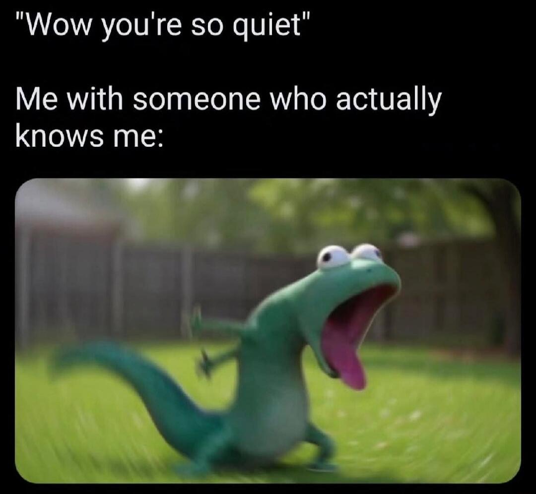 Wow you're so quiet Me with someone who actually knows me: