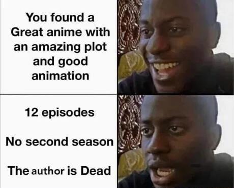 You found a Great anime with an amazing plot and good animation 12 episodes No second season The author is Dead