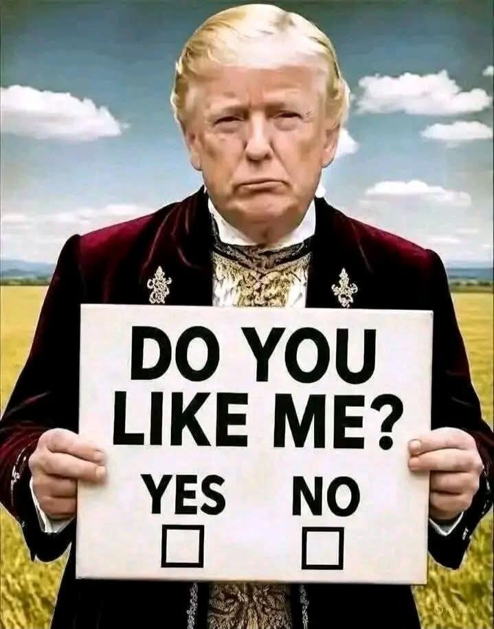 DO YOU LIKE ME? YES NO