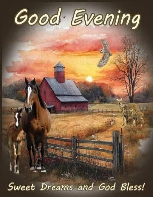 Good Evening Sweet Dreams and God Bless!