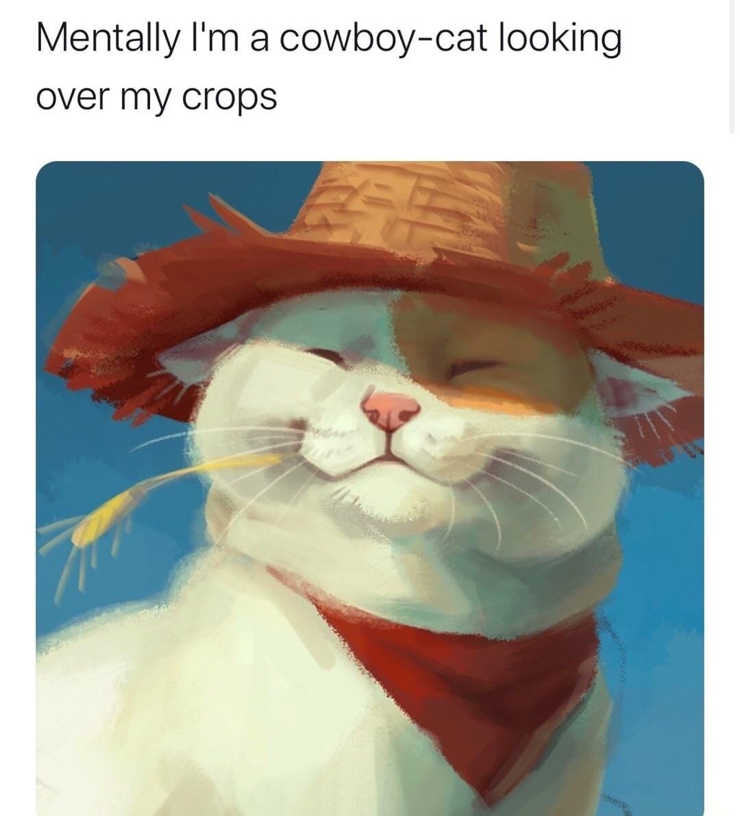 Mentally Im a cowboy cat looking over my crops