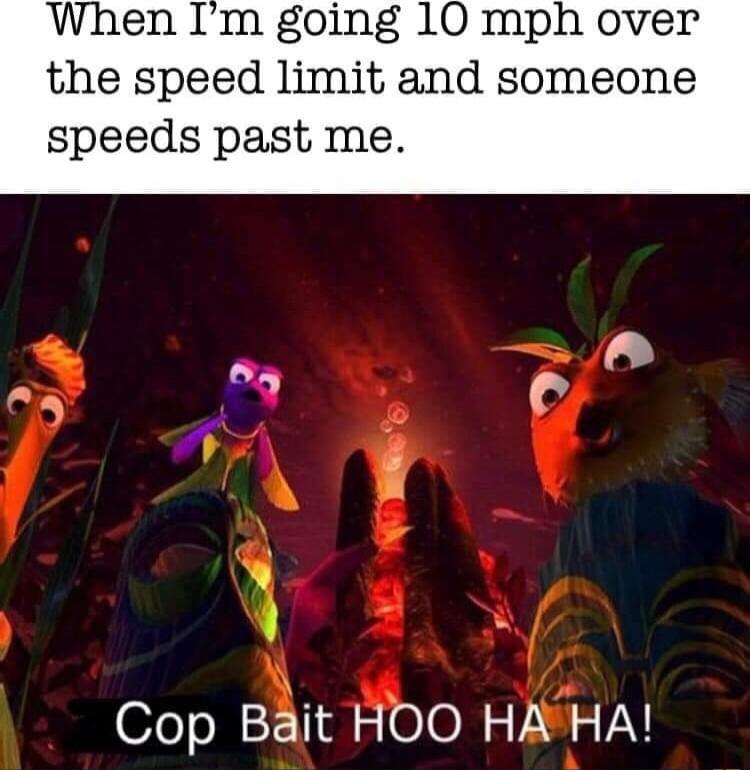 When Im going 10 mph over the speed limit and someone speeds past me Cop Bait HOO HAHA