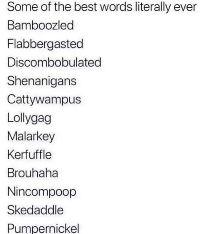 Some of the best words literally ever Bamboozled Flabbergasted Discombobulated Shenanigans Cattywampus Lollygag Malarkey Kerfuffle Brouhaha Nincompoop Skedaddle Pumpernickel