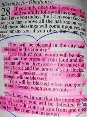Blessings for Obedience. If you fully obey the LORD your God and carefully follow all his commands that I give you today, the LORD your God will set you high above all the nations on earth. All these blessings will come upon you and accompany you if you obey the LORD your God: You will be blessed in the city and blessed in the country. The fruit of