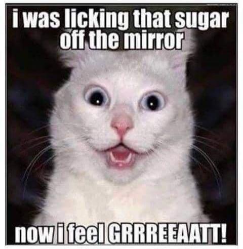 I WAS LICKING THAT SUGAR OFF THE MIRROR now i feel GRRRREEAATT!