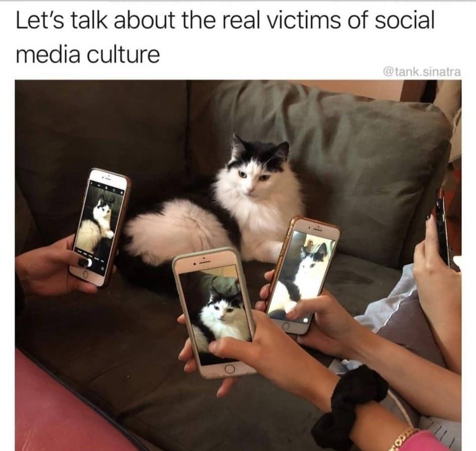 Lets talk about the real victims of social media culture o