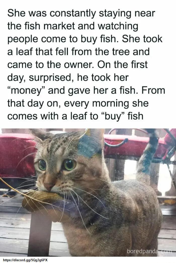 She was constantly staying near the fish market and watching people come to buy fish She took a leaf that fell from the tree and came to the owner On the first day surprised he took her money and gave her a fish From that day on every morning she comes with a leaf to buy fish