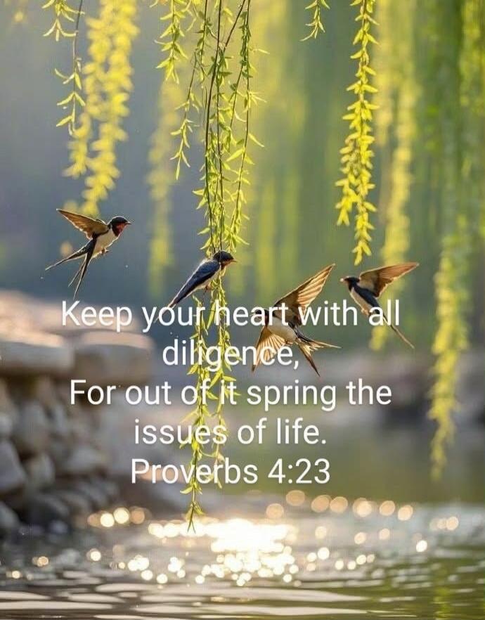 Keep your heart with all diligence, For out of it spring the issues of life. Proverbs 4:23