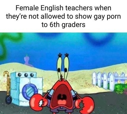 Female English teachers when theyre not allowed to show gay porn to 6th graders