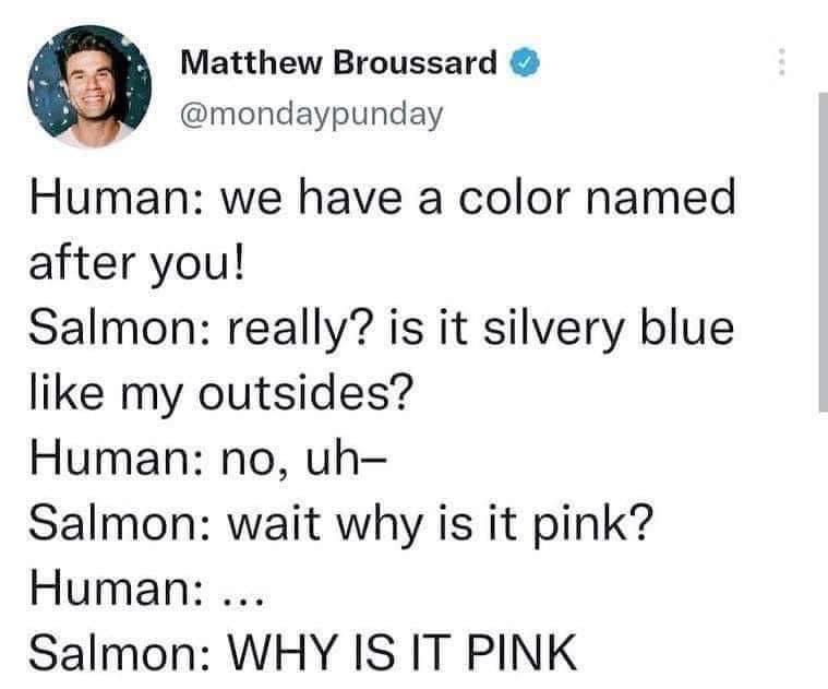 Matthew Broussard mondaypunday Human we have a color named after you Salmon really is it silvery blue like my outsides Human no uh Salmon wait why is it pink Human Salmon WHY IS IT PINK
