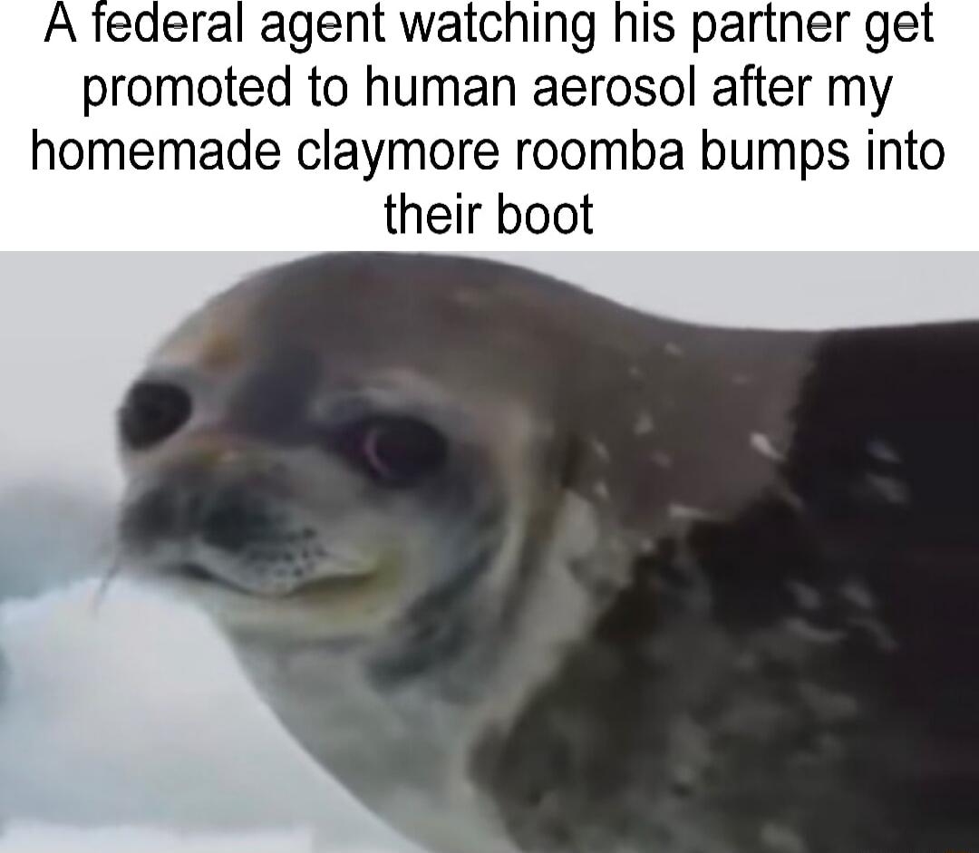 A tederal agent watching his partner get promoted to human aerosol after my homemade claymore roomba bumps into their boot