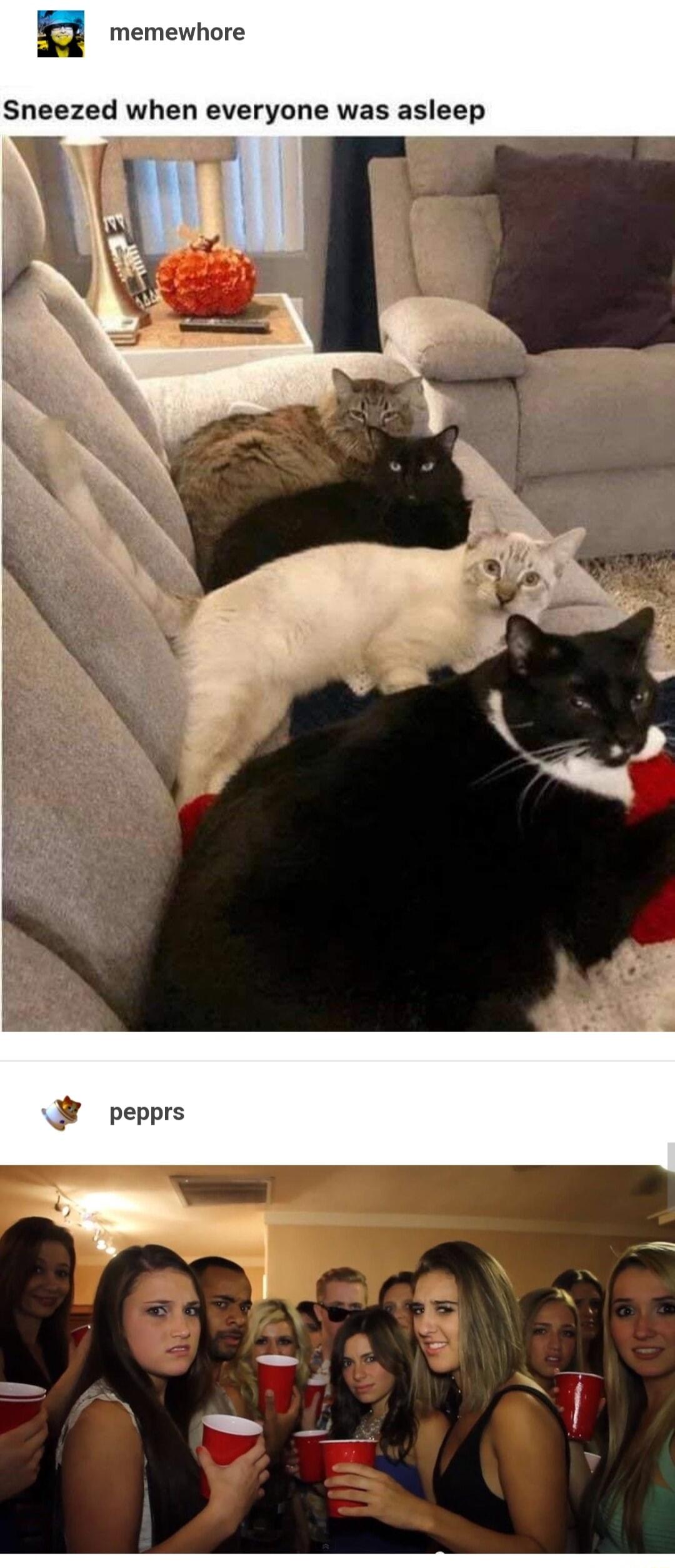 E memewhore Sneezed when everyone was asleep