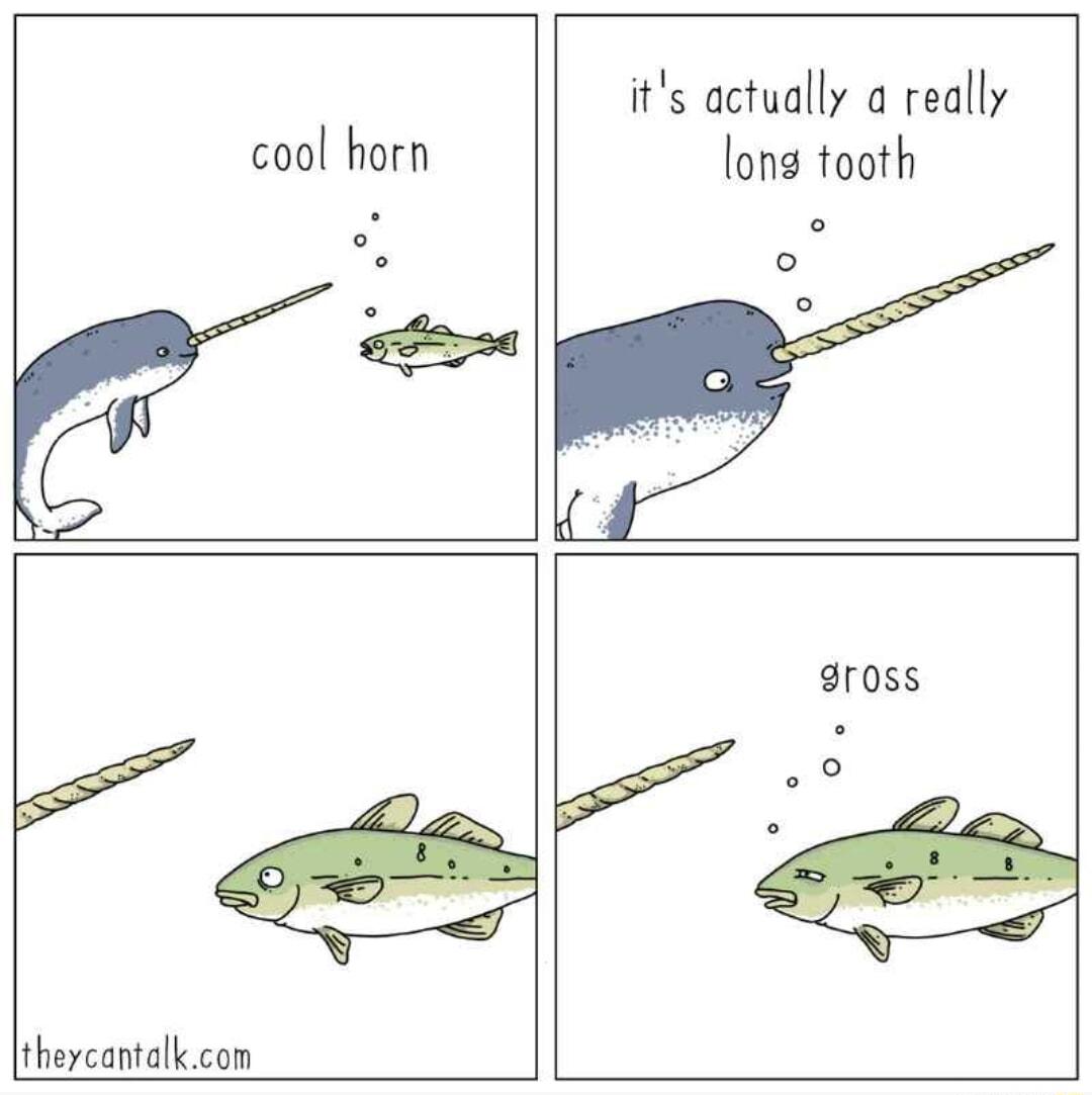 cool horn 6 its actually a really long tooth o theycantalk com