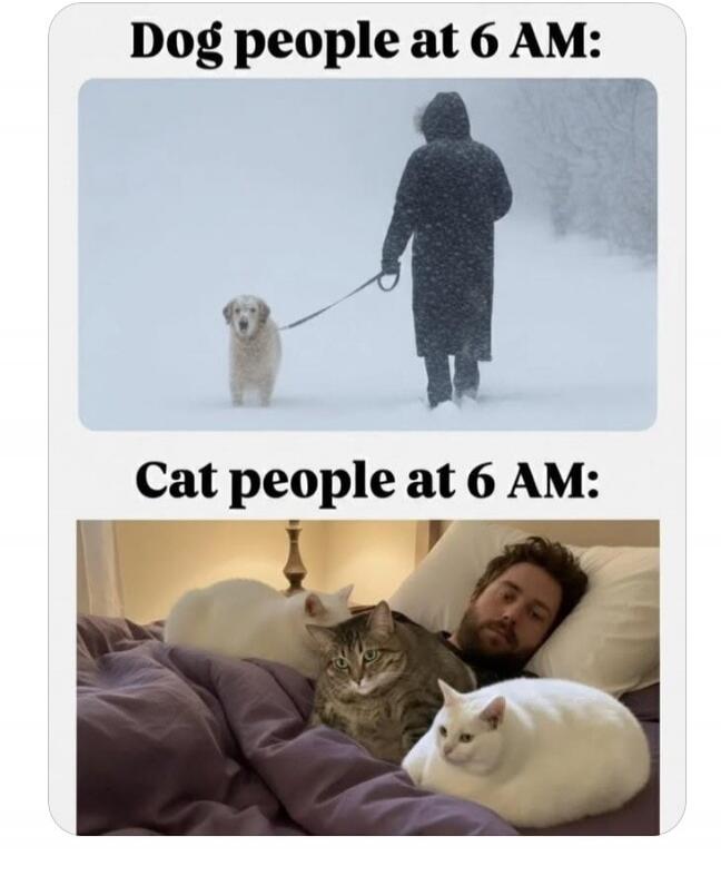 Dog people at 6 AM: A person walks a dog in heavy snow. Cat people at 6 AM: A man lies in bed surrounded by three cats.