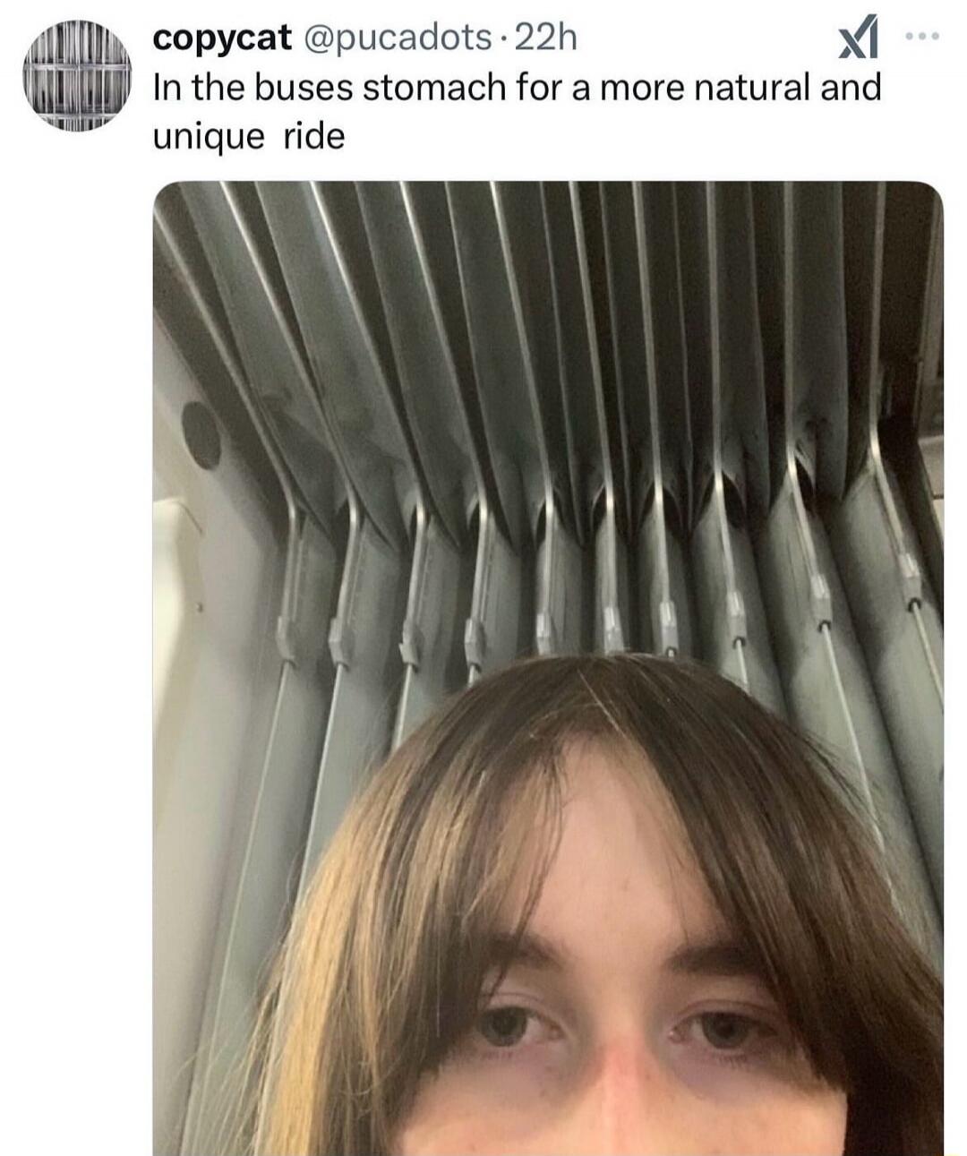 copycat @pucadots 22h In the buses stomach for a more natural and unique ride