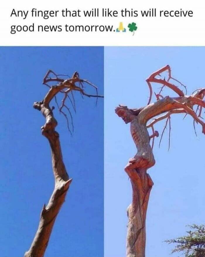 Any finger that will like this will receive good news tomorrow.🙏🍀